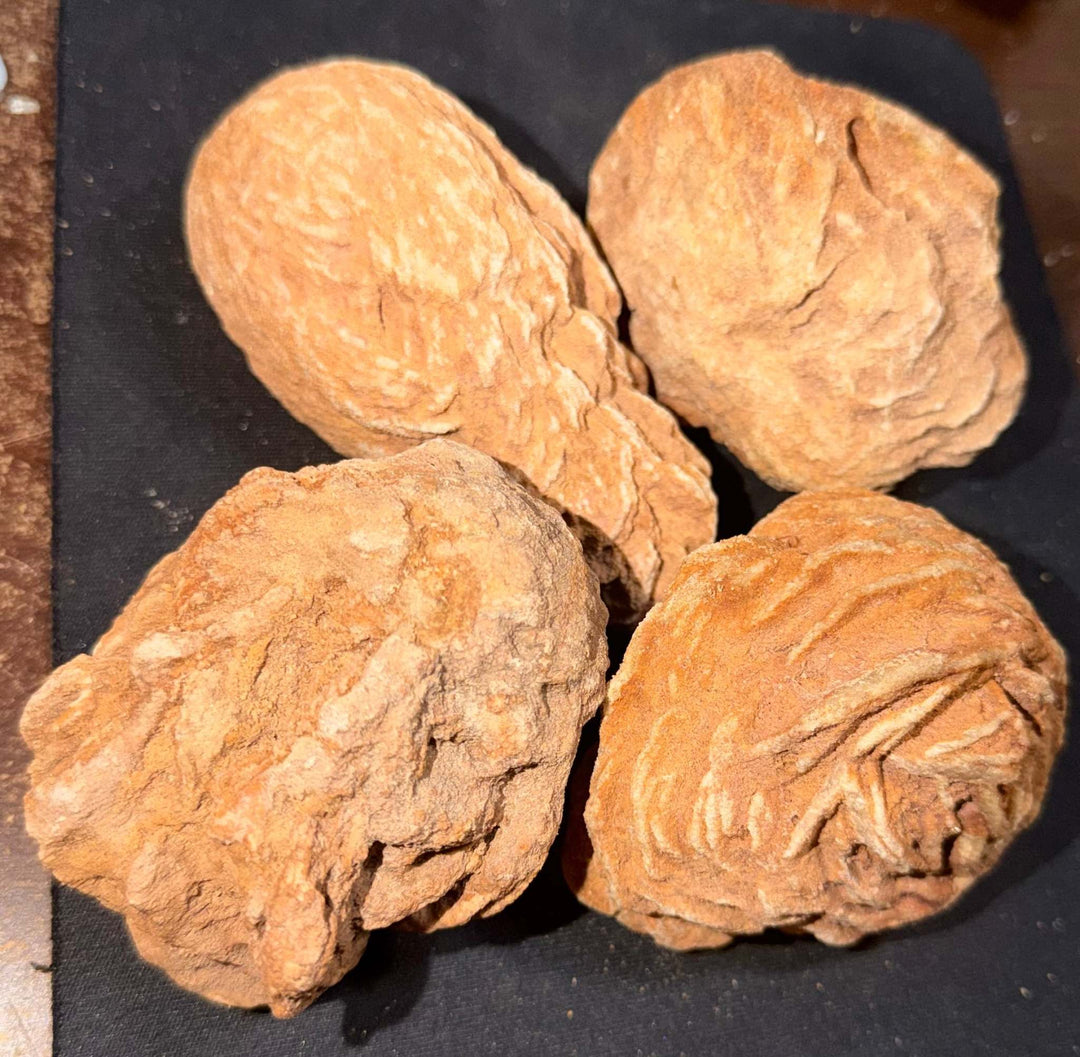 Rough Moroccan Desert Rose Specimen