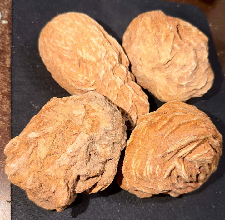Rough Moroccan Desert Rose Specimen