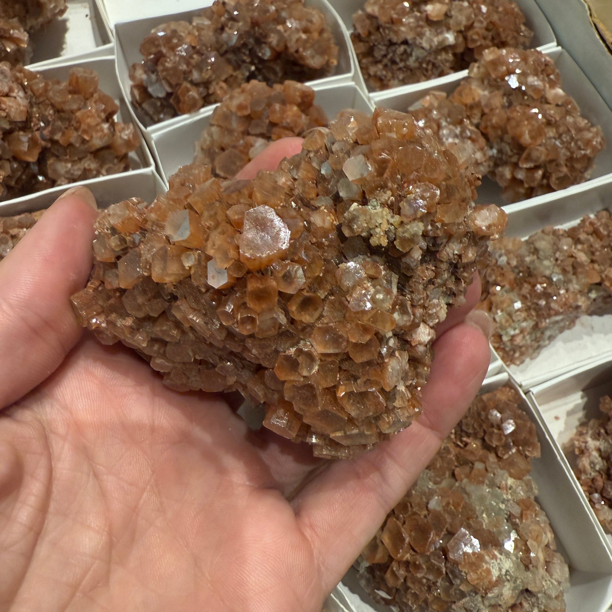 Sputnik Aragonite Large Specimen with brown star clusters, known for grounding and connection to nature, in person's hand.