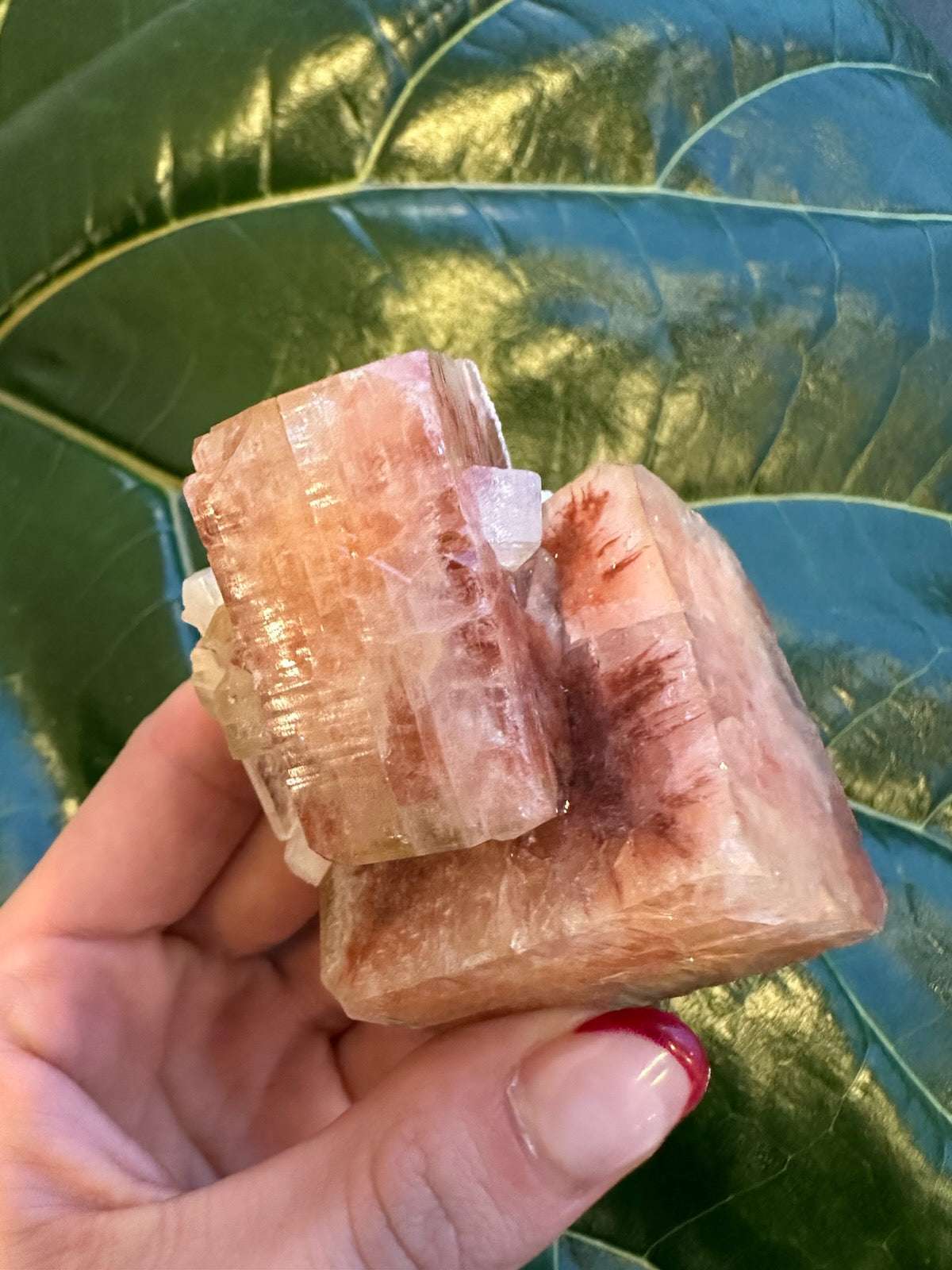 Red Apophyllite Cube (Md) from Pune, India