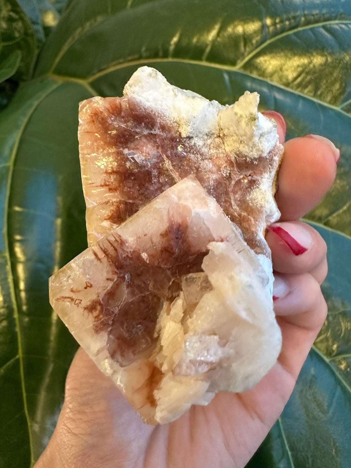Red Apophyllite Cube (Md) from Pune, India