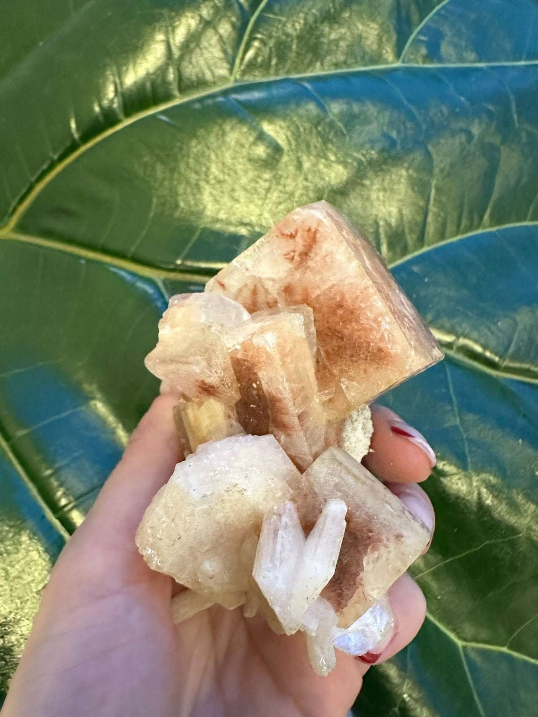 Red Apophyllite Cube on Matrix (Lg)