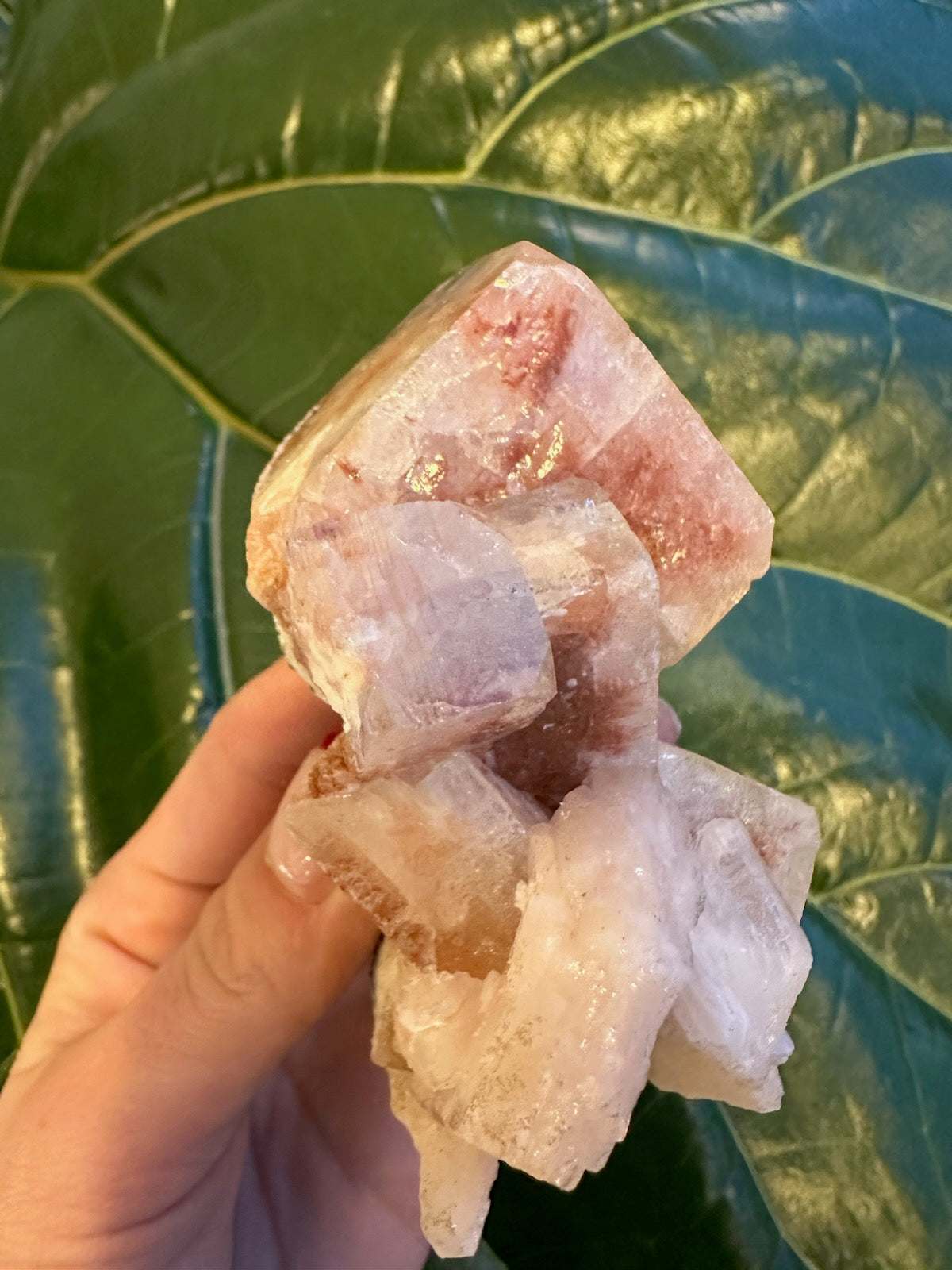 Red Apophyllite Cube on Matrix (Lg)