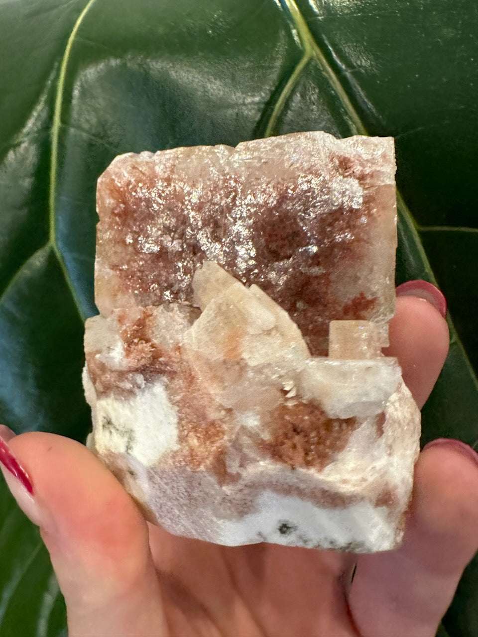 Red Apophyllite Cube (XL) from Pune, India