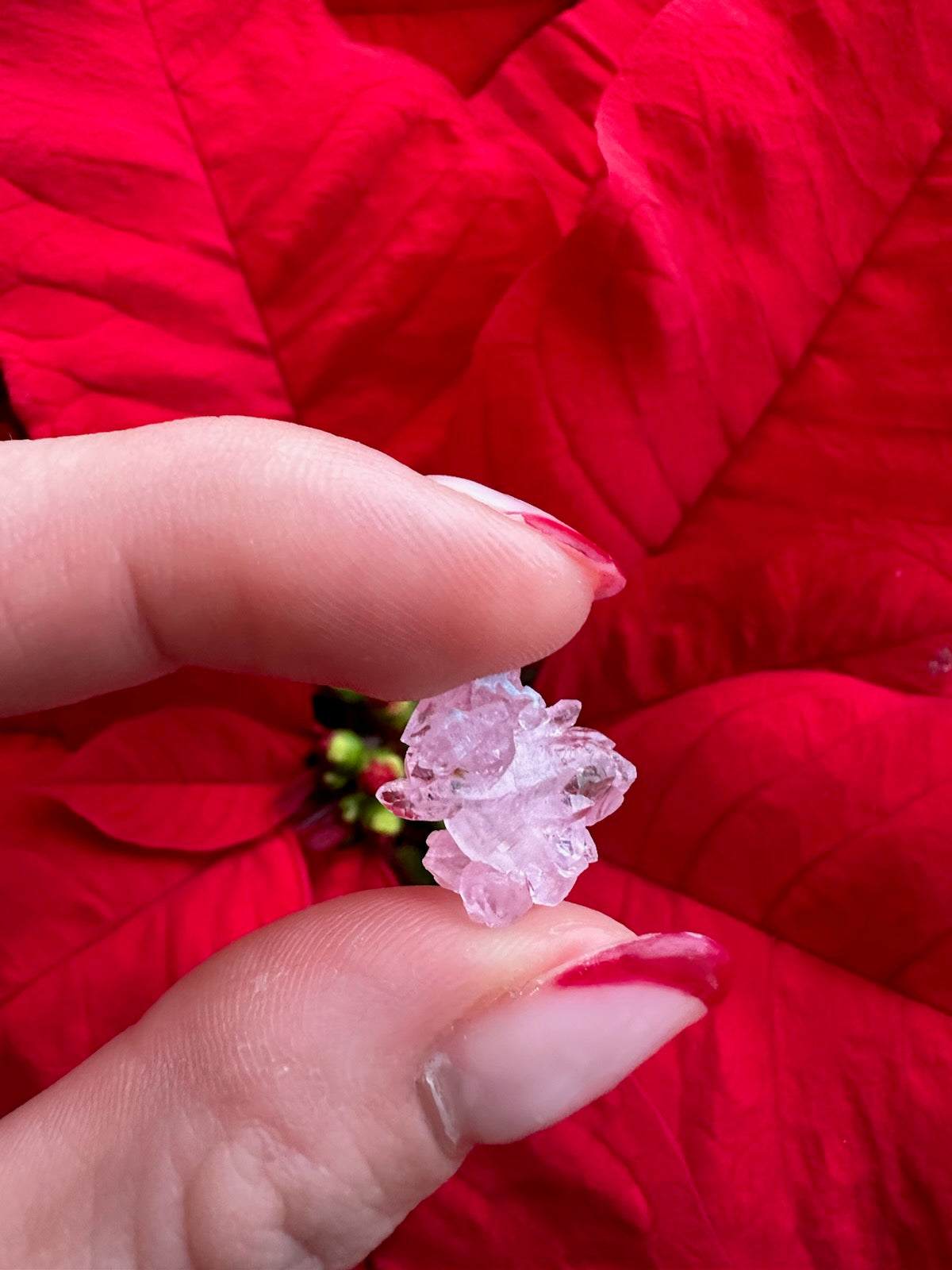 Rose Quartz (micro) from Brazil