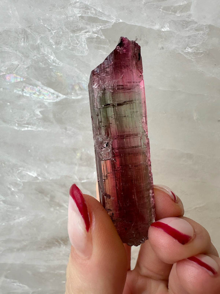 Watermelon Tourmaline from Brazil
