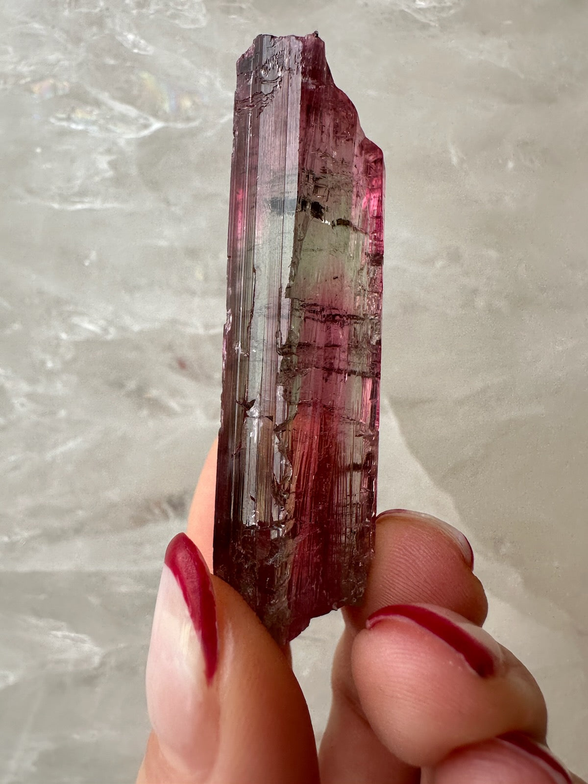 Watermelon Tourmaline from Brazil