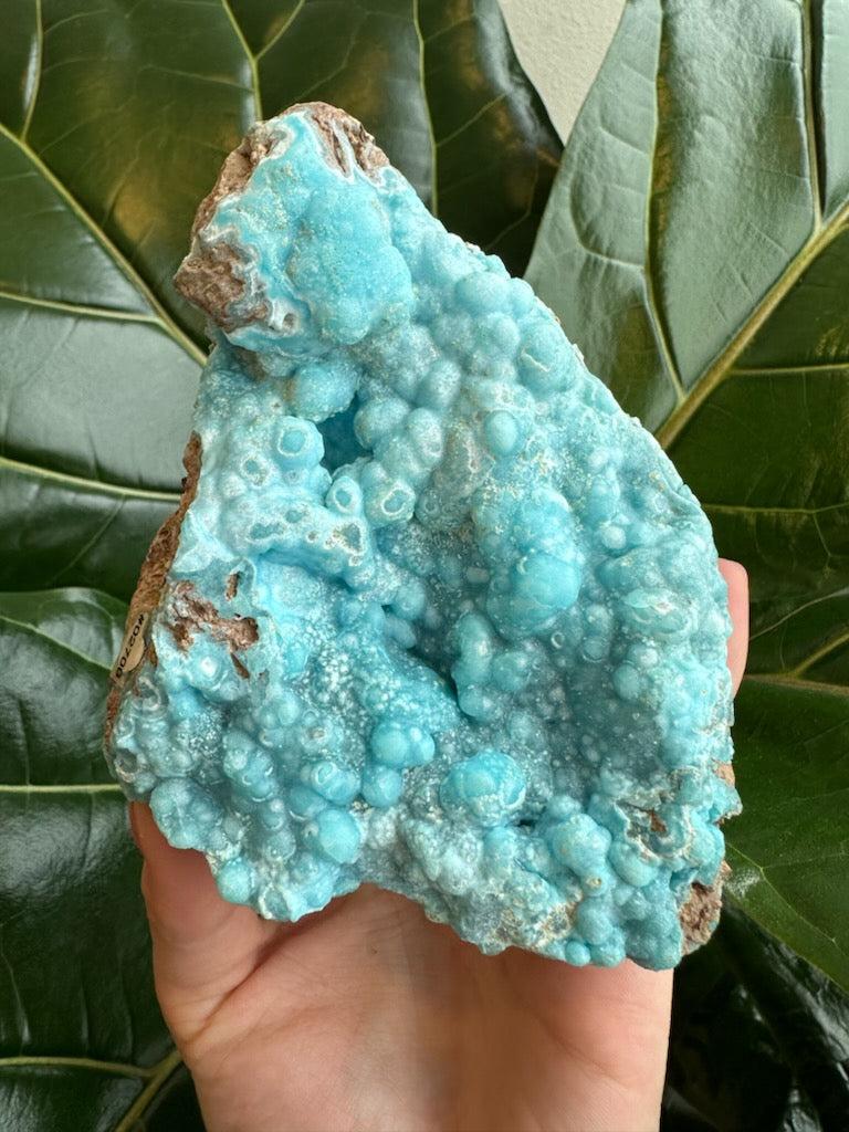 Botryoidal Blue Hemimorphite 0.5 kg