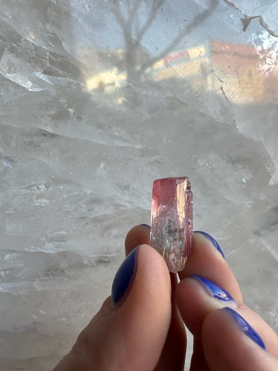 Watermelon Tourmaline from Brazil