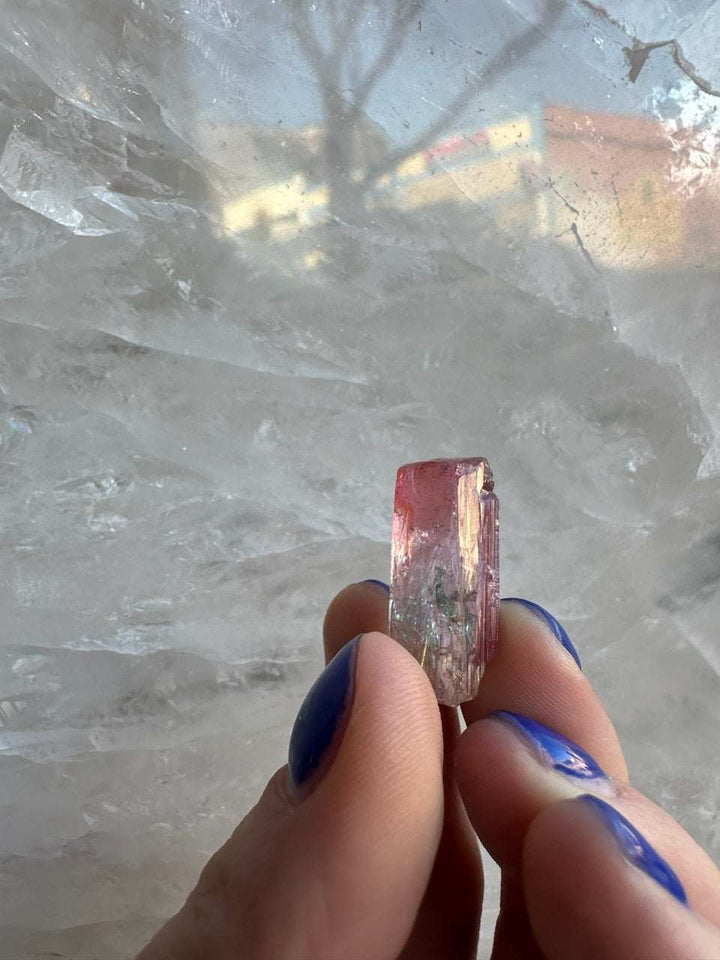 Watermelon Tourmaline from Brazil