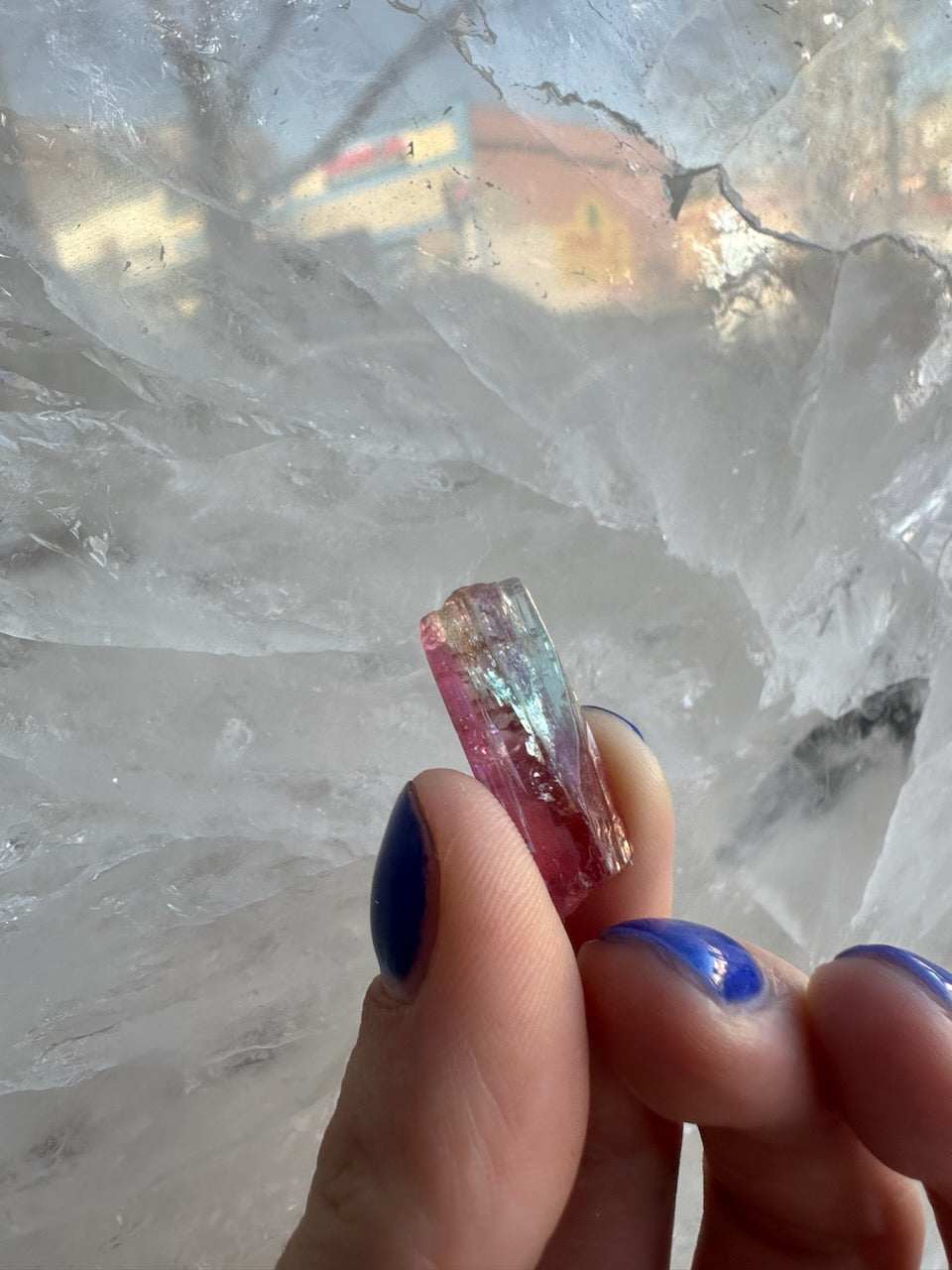 Watermelon Tourmaline from Brazil