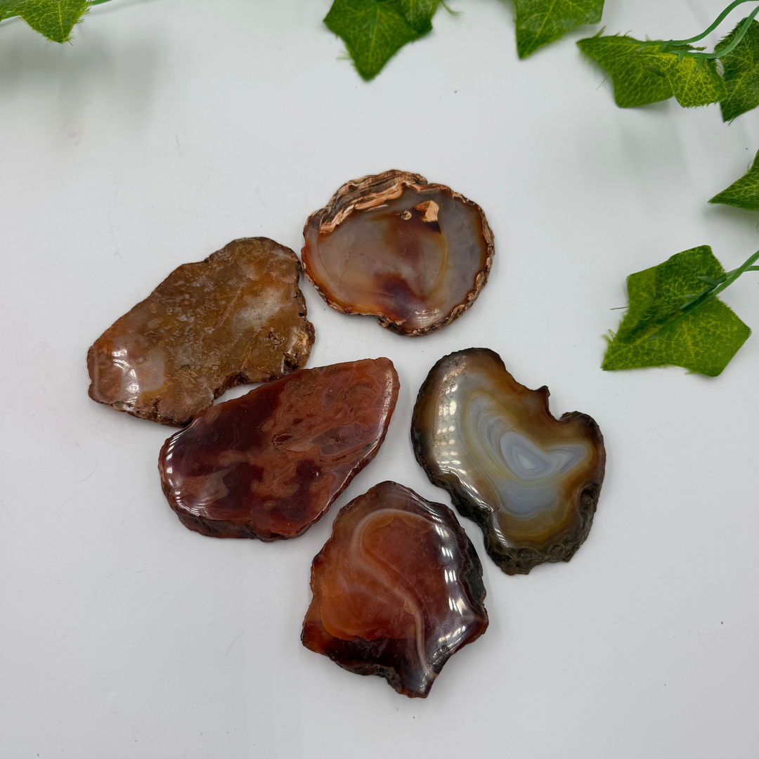 Carnelian Slice - Passionate Energy
