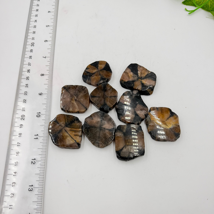 Chiastolite Slice (Also known as Fairy Crosses)