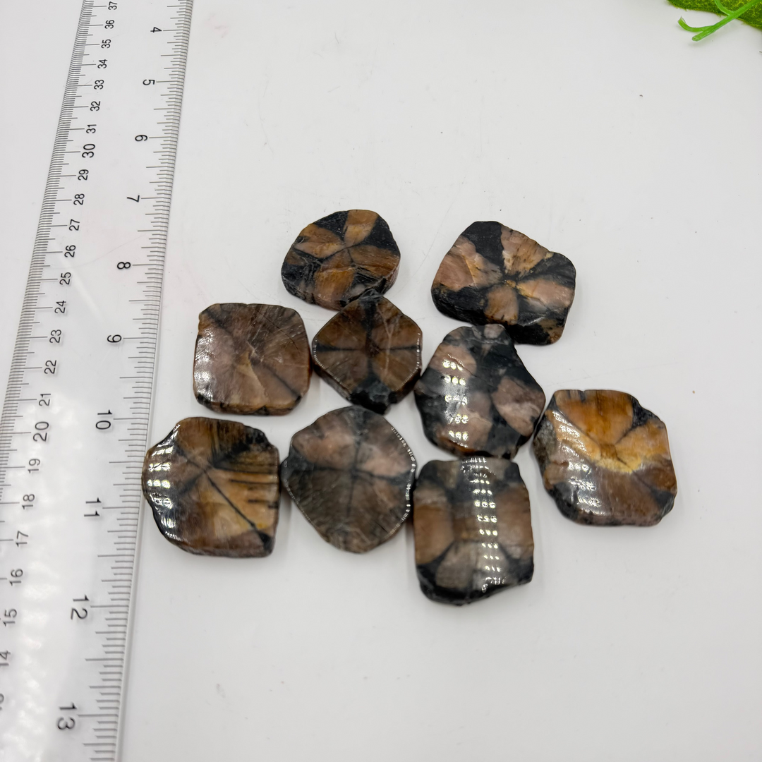 Chiastolite Slice (Also known as Fairy Crosses)