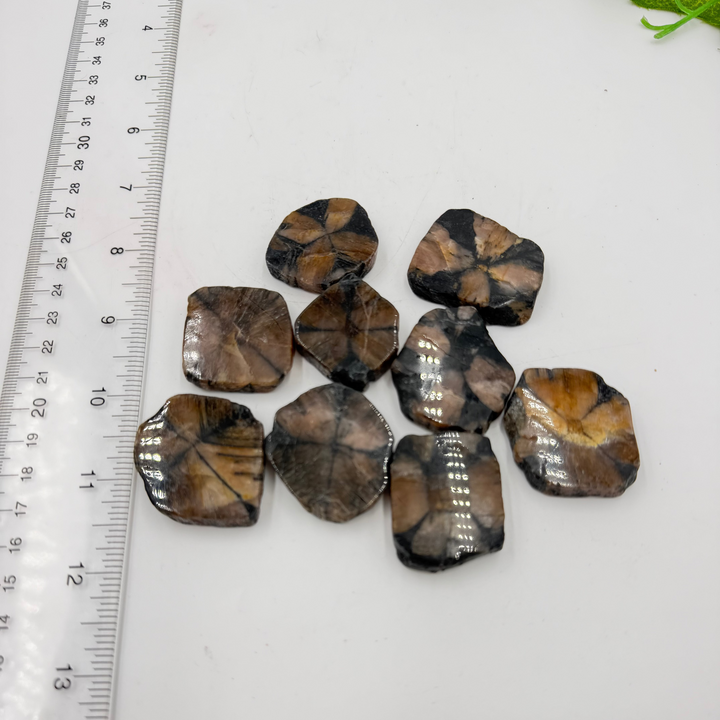 Chiastolite Slice (Also known as Fairy Crosses)