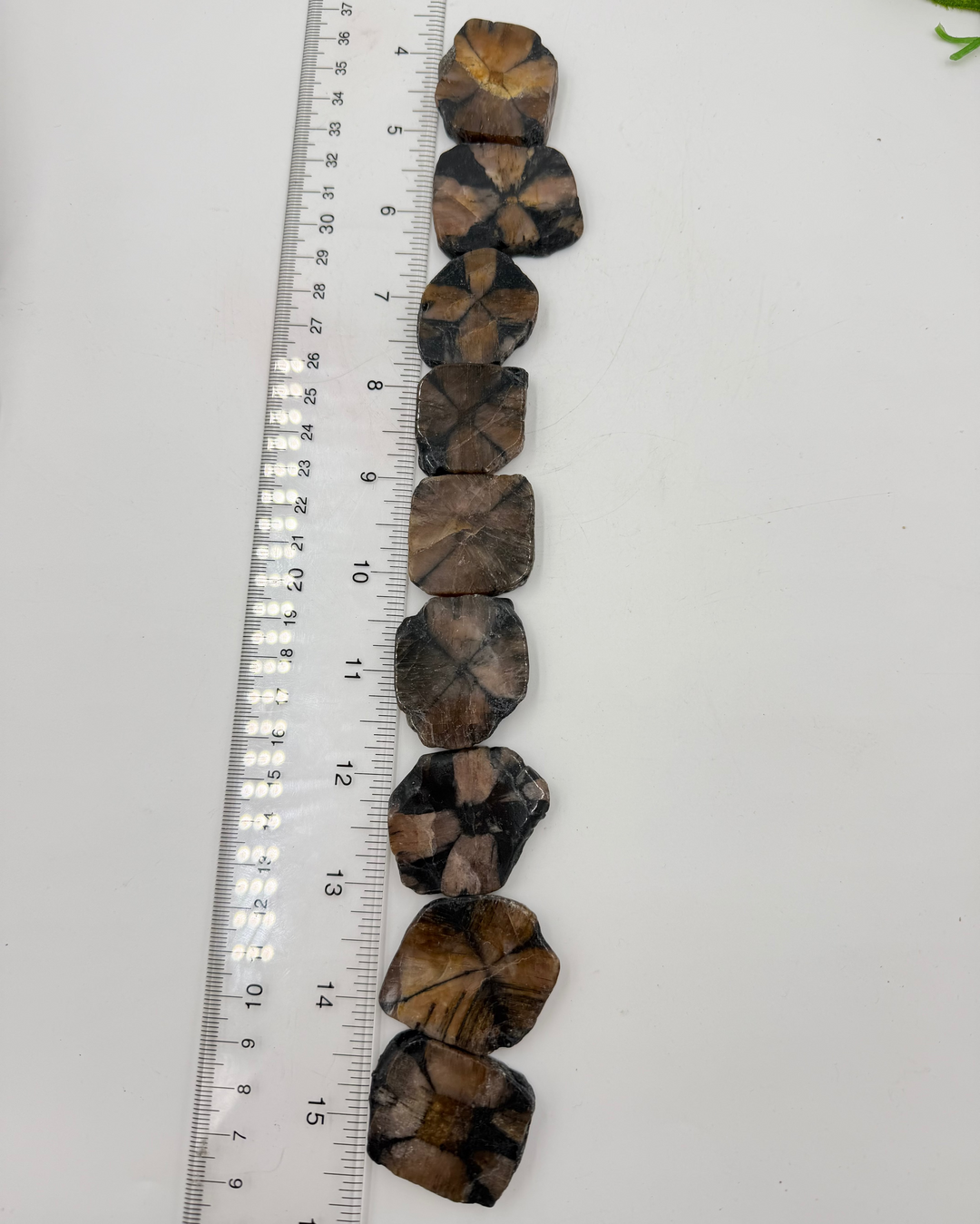 Chiastolite Slice (Also known as Fairy Crosses)