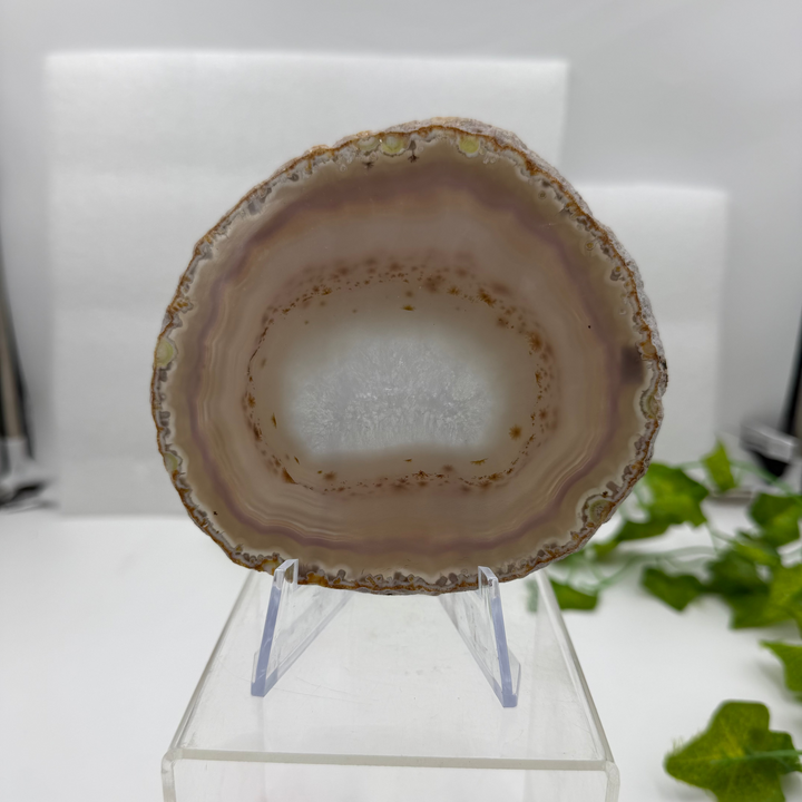Agate Slice with Quartz Inclusions Specimen