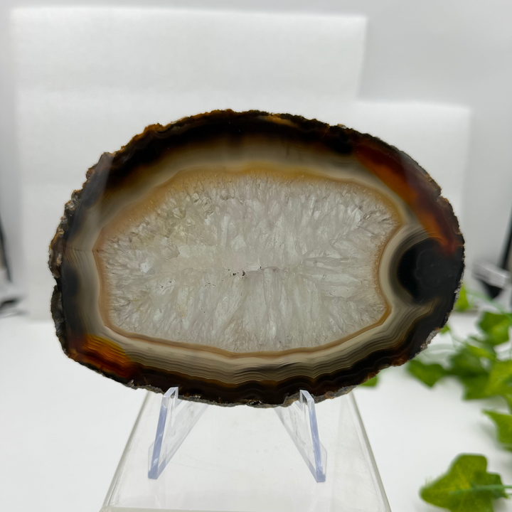 Agate Slice with Quartz Inclusions Specimen