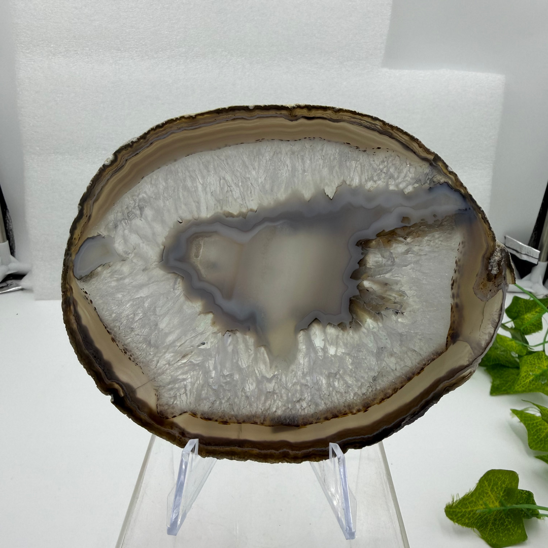 Agate Slice with Quartz Inclusions Specimen