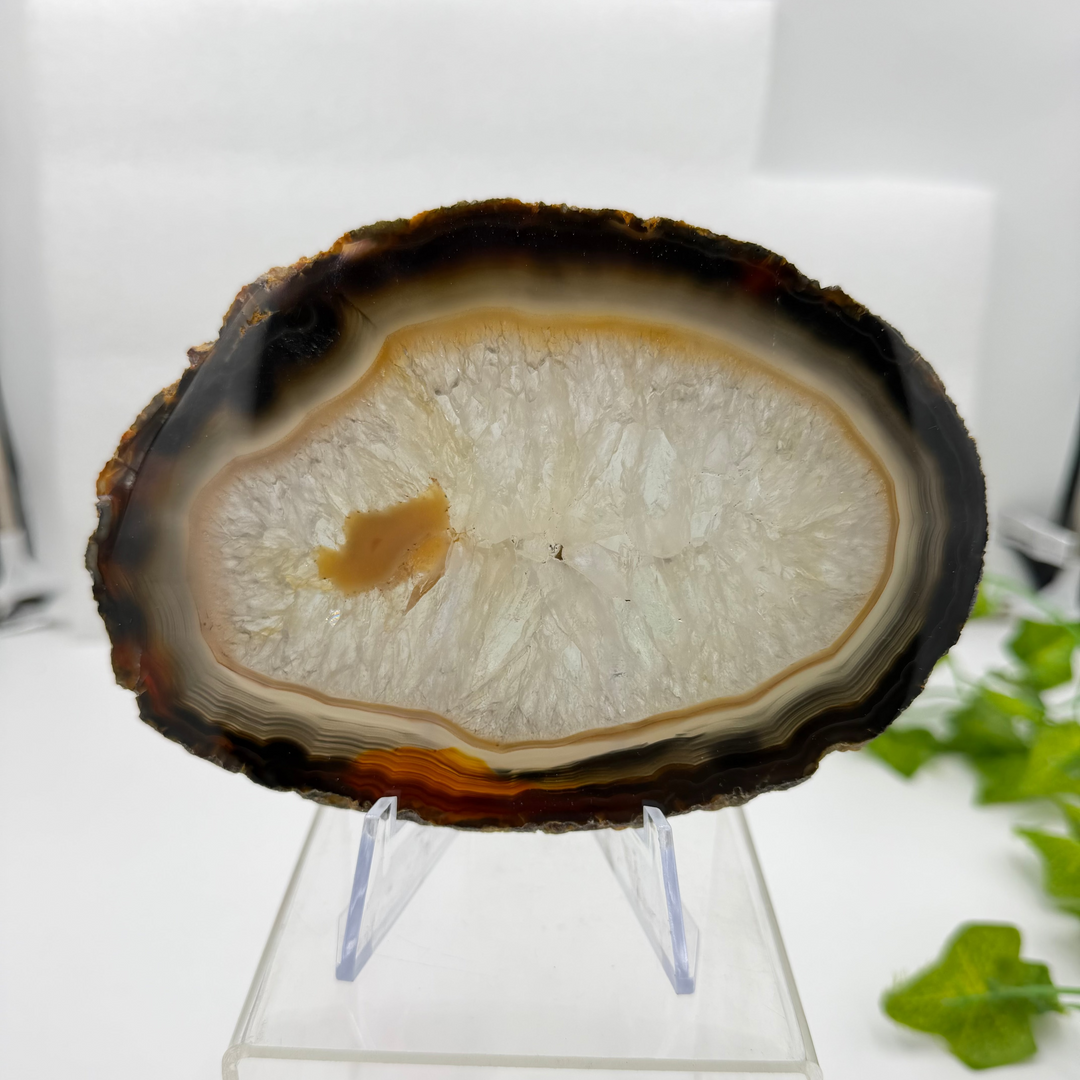 Agate Slice with Quartz Inclusions Specimen