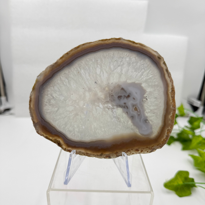 Agate Slice with Quartz Inclusions Specimen
