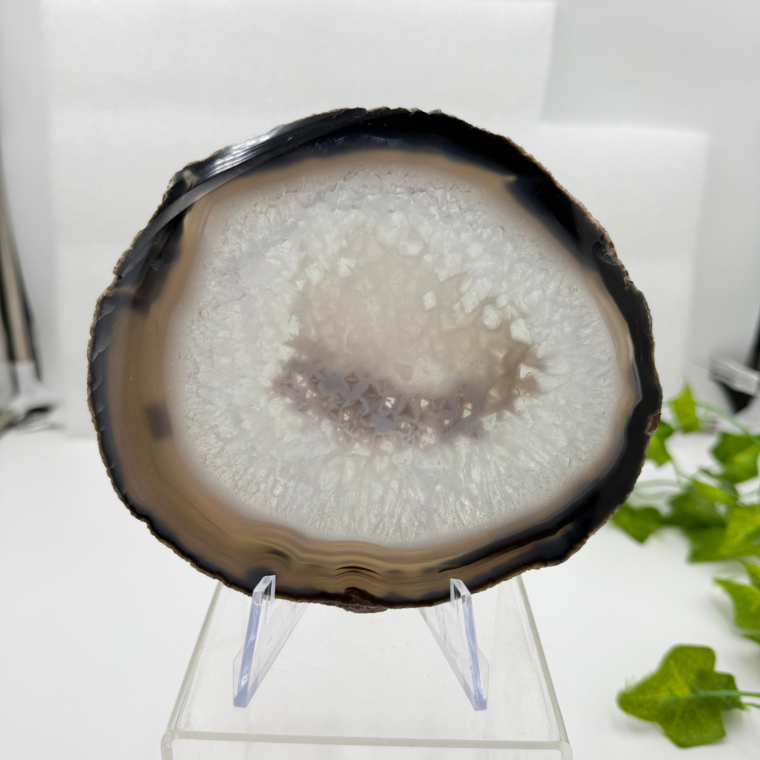 Agate Slice with Quartz Inclusions Specimen