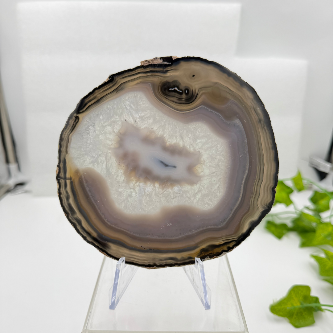 Agate Slice with Quartz Inclusions Specimen