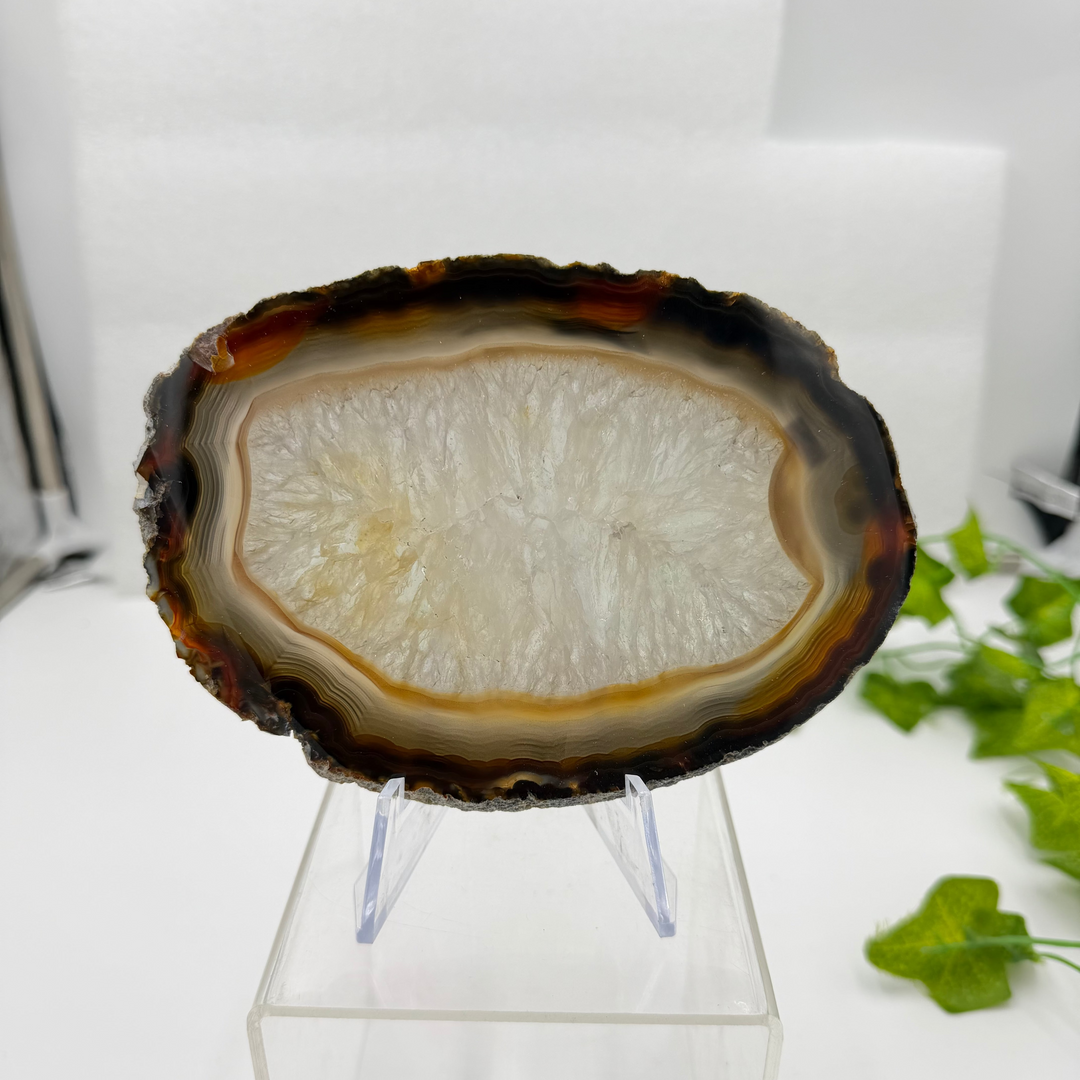 Agate Slice with Quartz Inclusions Specimen