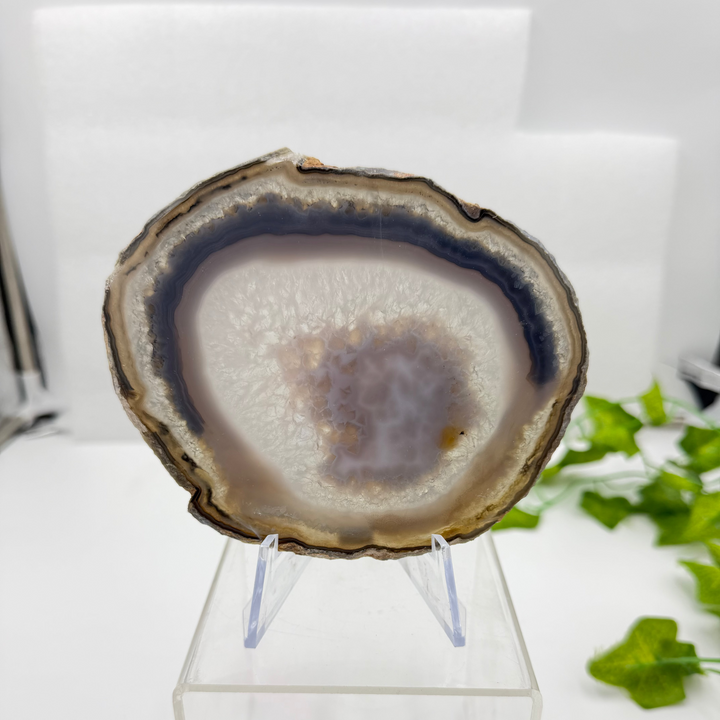 Agate Slice with Quartz Inclusions Specimen