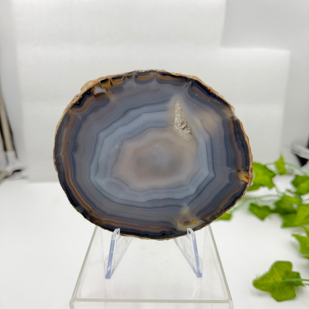 Agate Slice with Quartz Inclusions Specimen