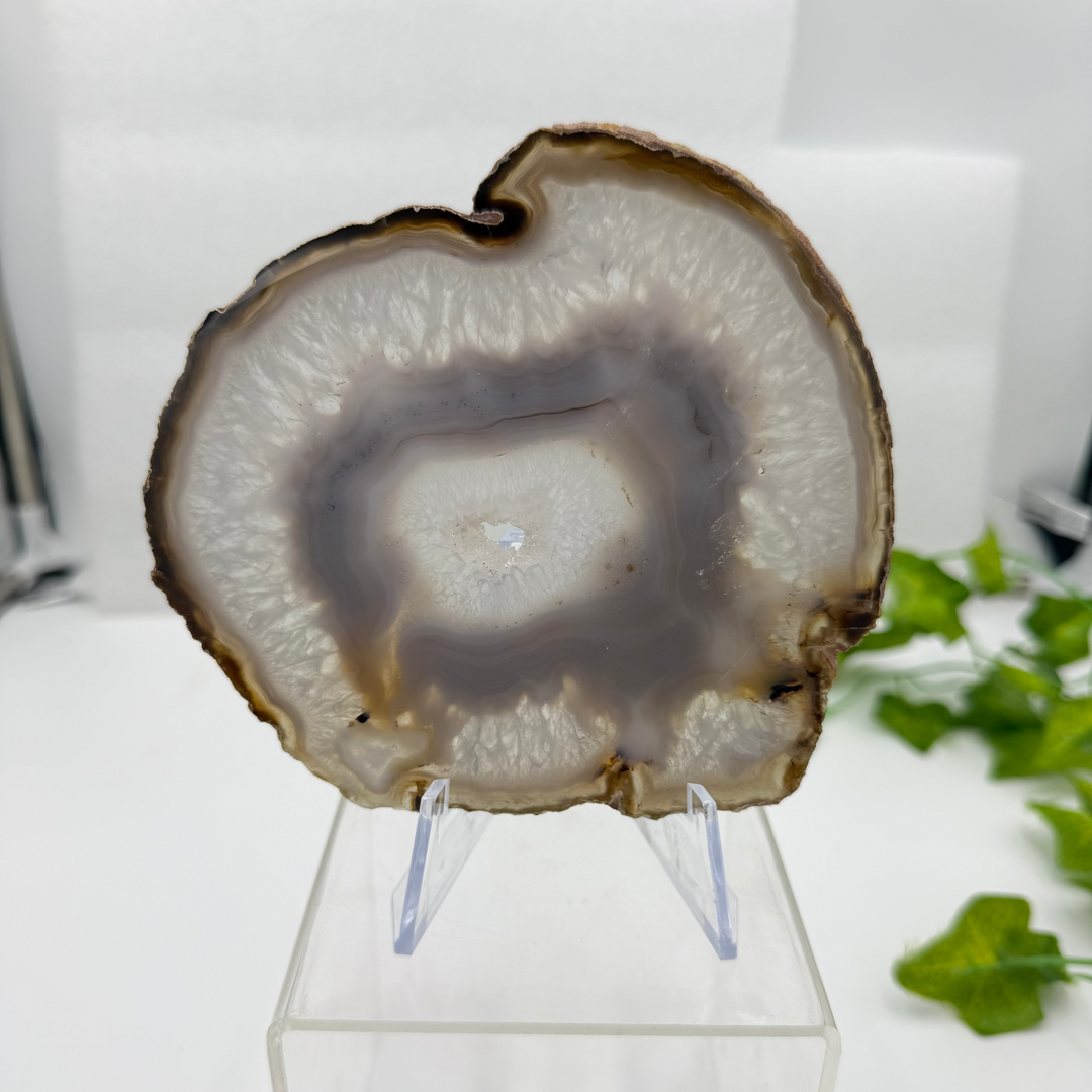 Agate Slice with Quartz Inclusions Specimen