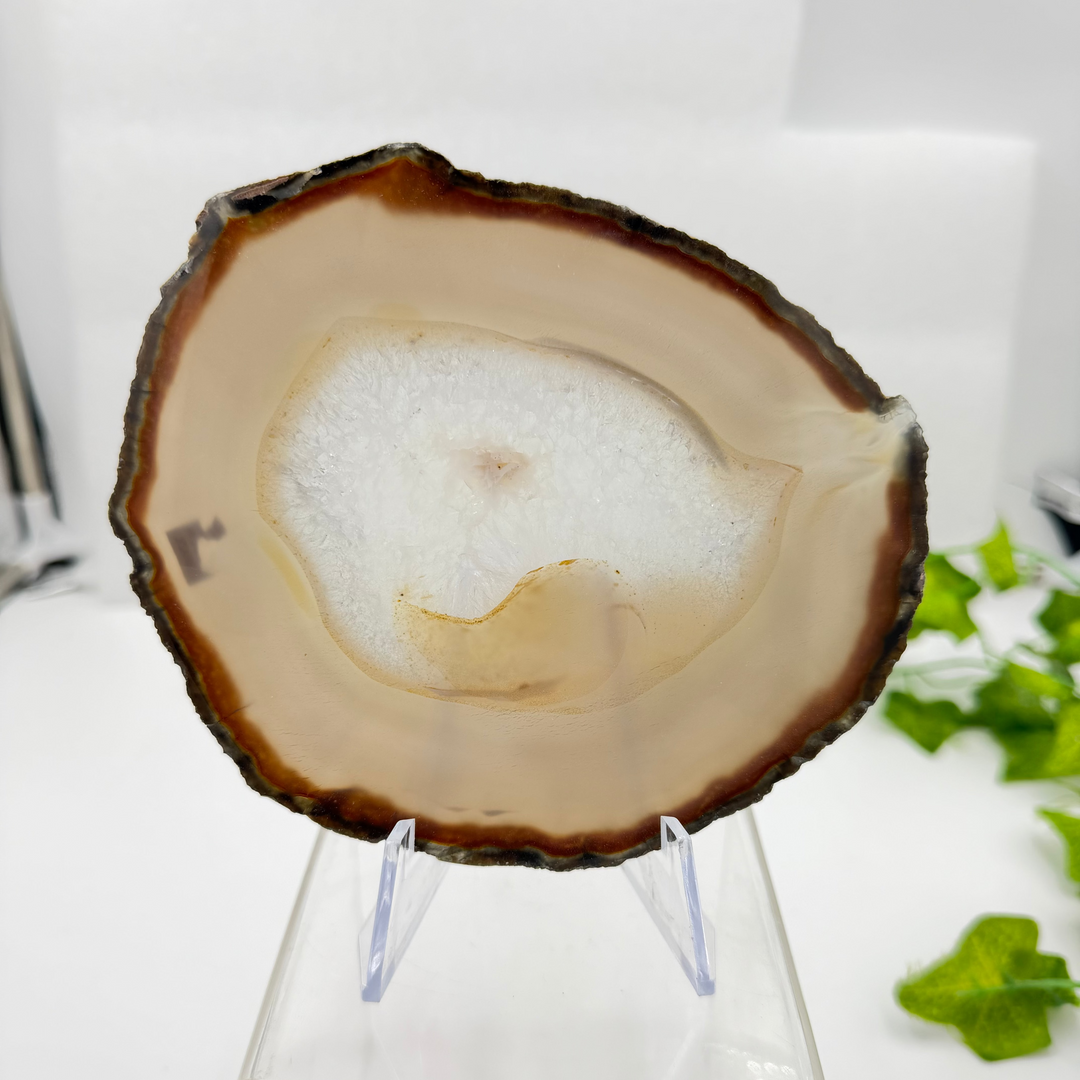 Agate Slice with Quartz Inclusions Specimen