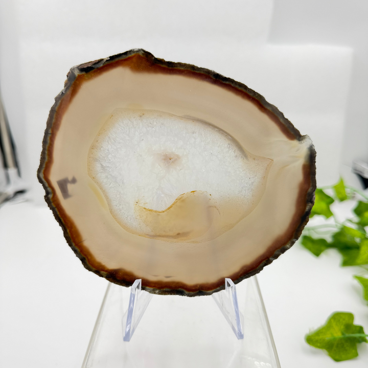 Agate Slice with Quartz Inclusions Specimen