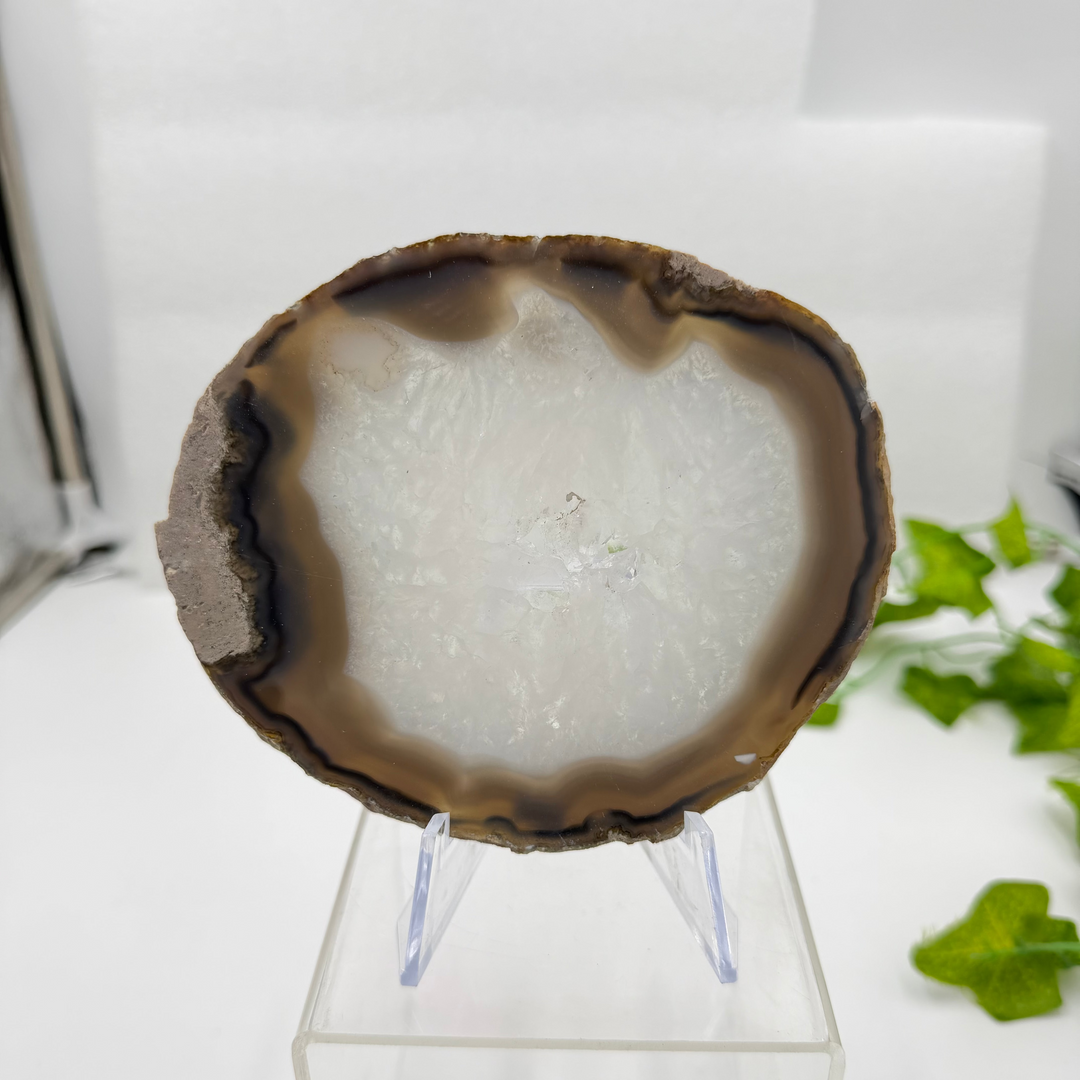 Agate Slice with Quartz Inclusions Specimen