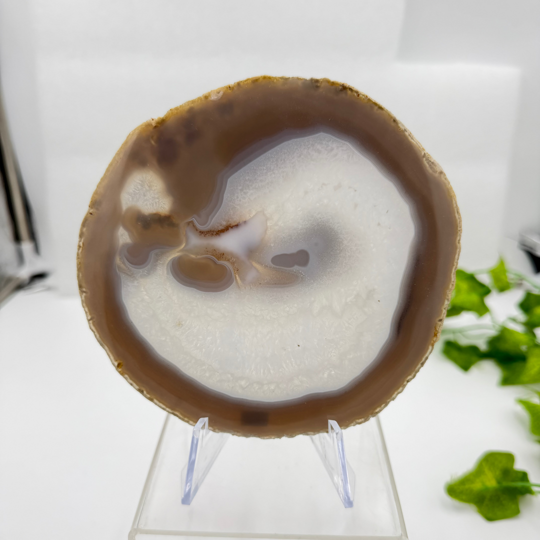 Agate Slice with Quartz Inclusions Specimen