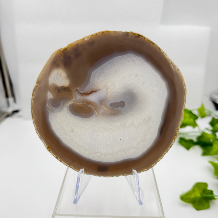Agate Slice with Quartz Inclusions Specimen