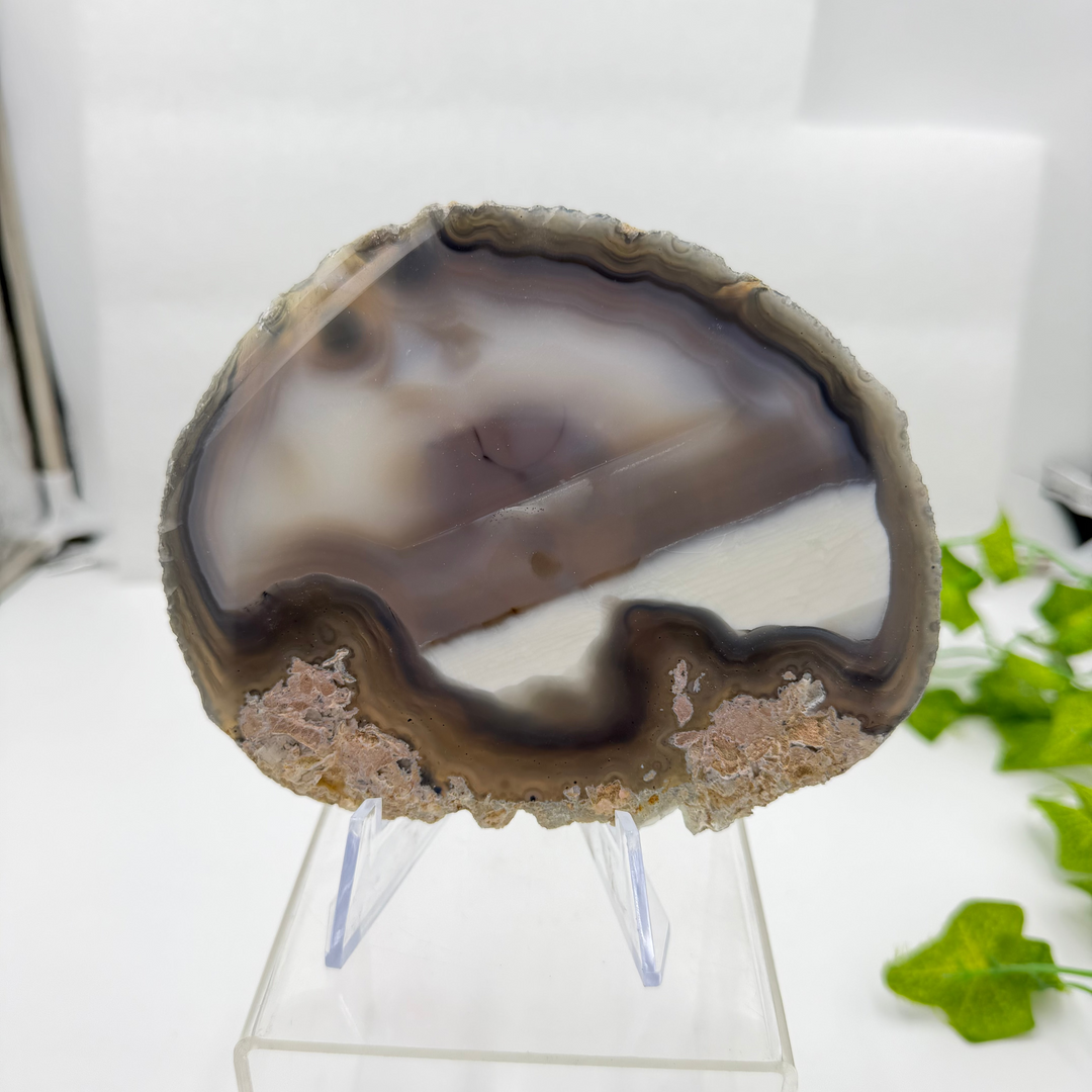 Agate Slice with Quartz Inclusions Specimen