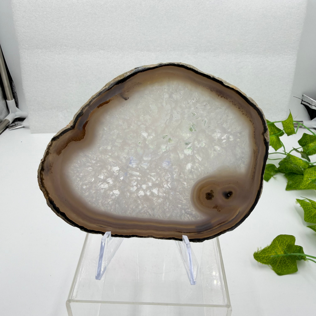 Agate Slice with Quartz Inclusions Specimen