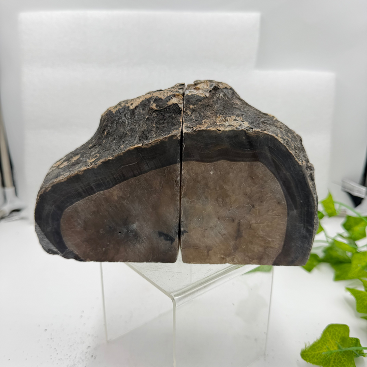 Dyed Black Agate Bookend Set