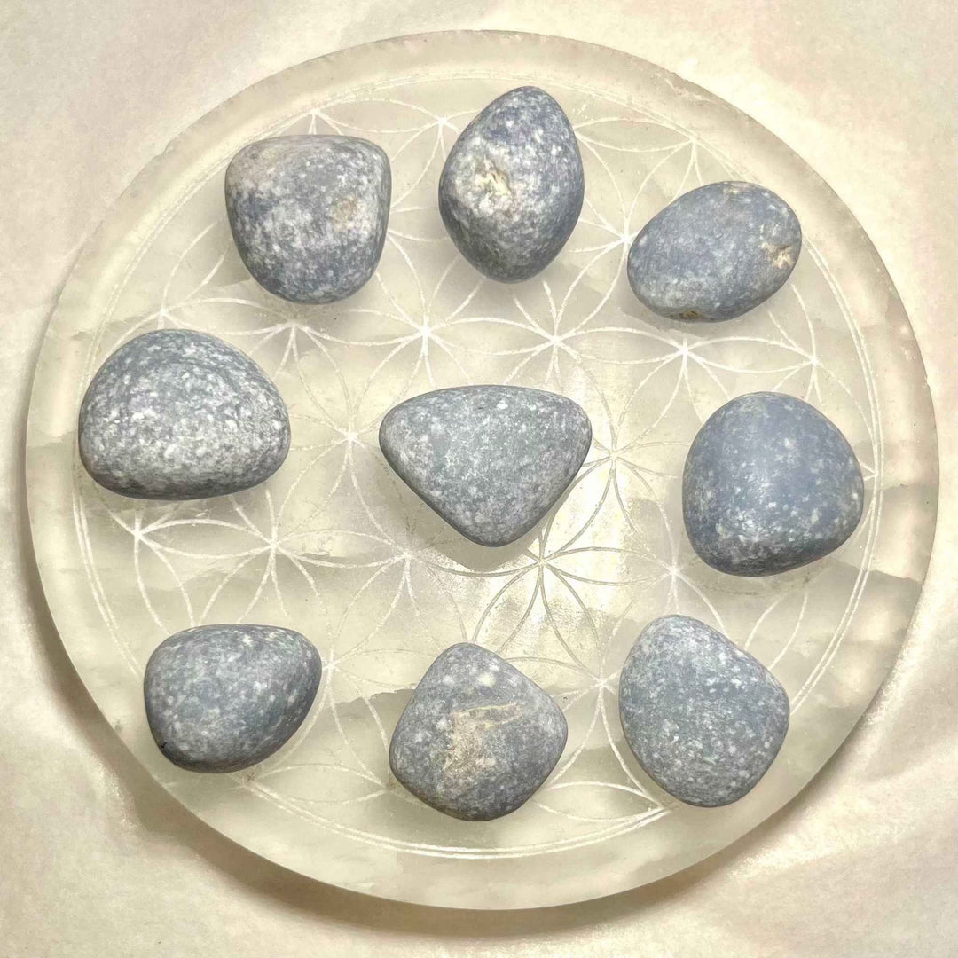 Angelite Tumbled Pocket Stone