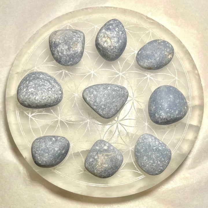 Angelite Tumbled Pocket Stone