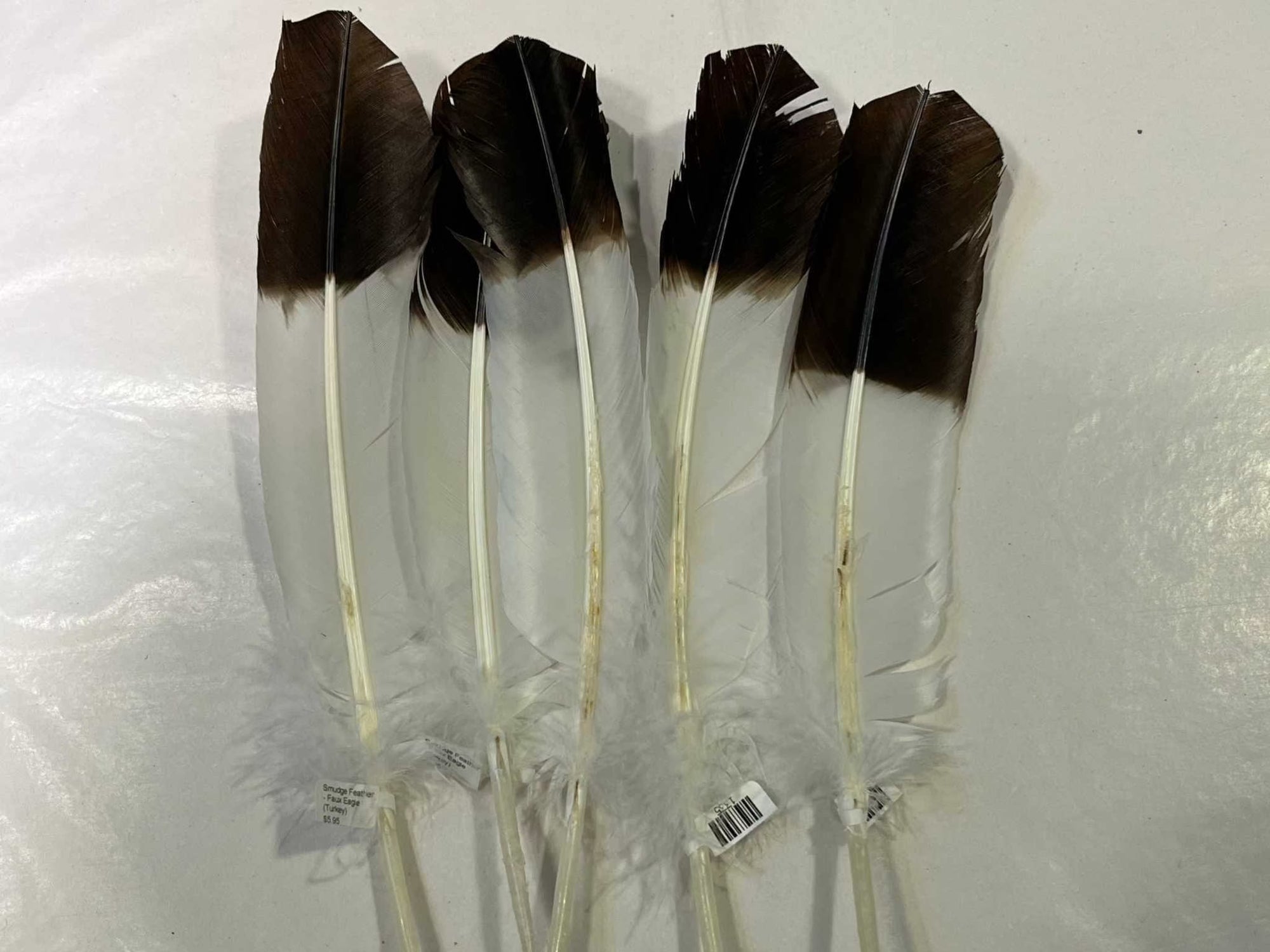 Smudge Feather - Faux Eagle (Turkey), Feathers, Feathers