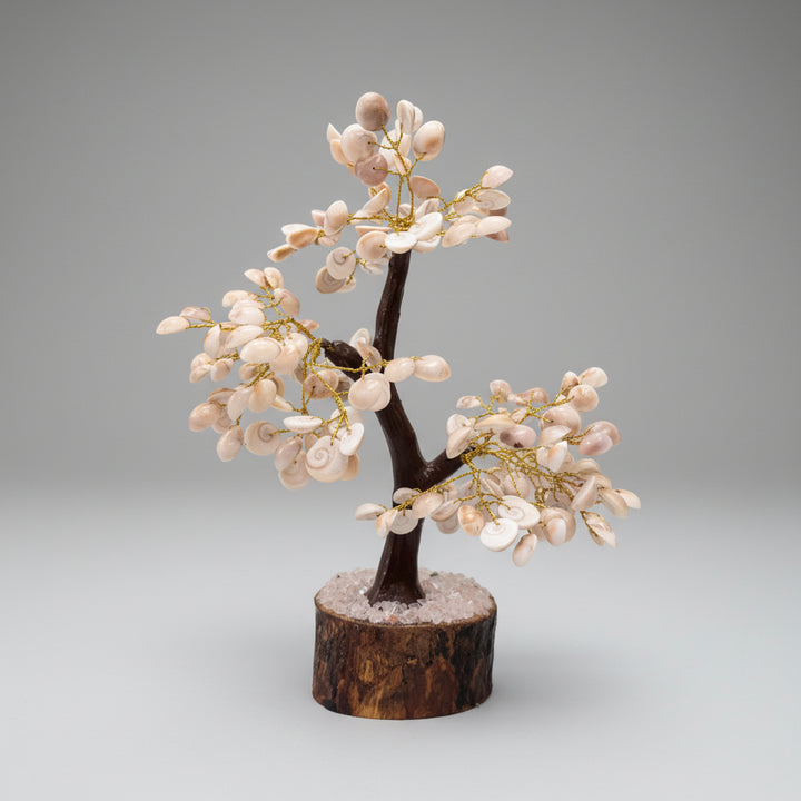 Shiva Eye Crystal Gem Tree