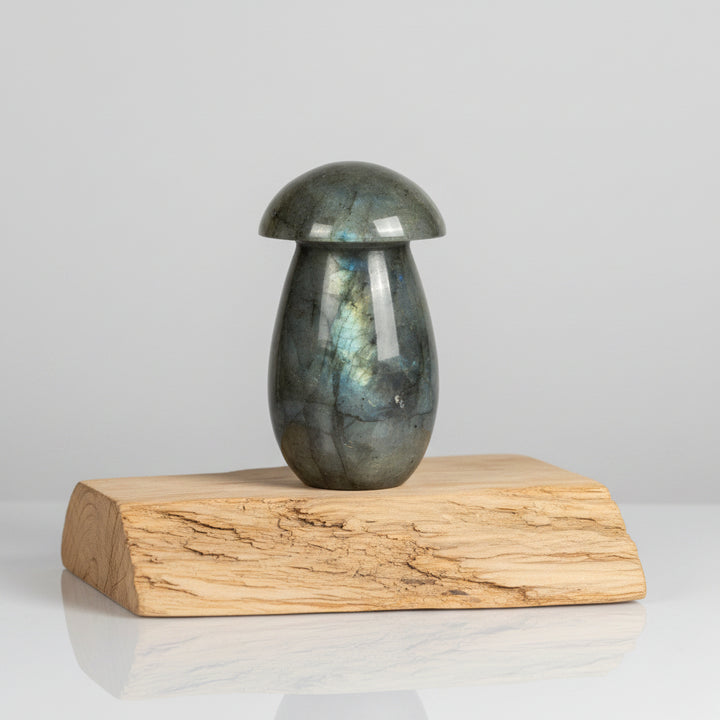 Labradorite Cosmic Mushroom ~ 4"
