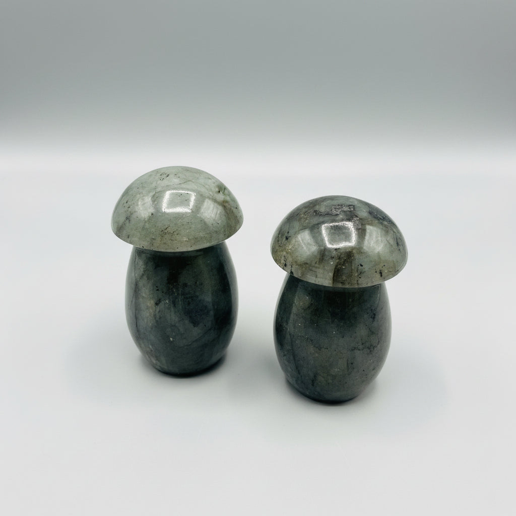 Labradorite Cosmic Mushroom ~ 4"