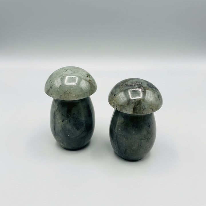 Labradorite Cosmic Mushroom ~ 4"