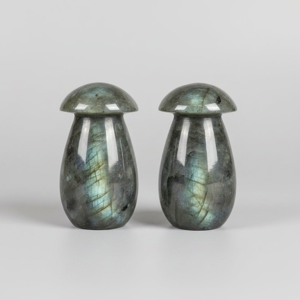 Two large stone mushrooms on a counter with a laptop in the background
