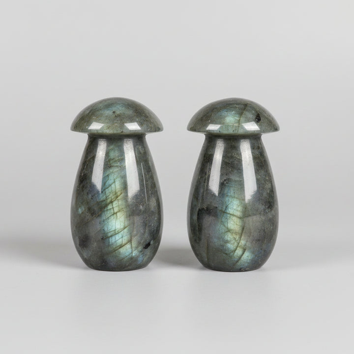 Two large stone mushrooms on a counter with a laptop in the background