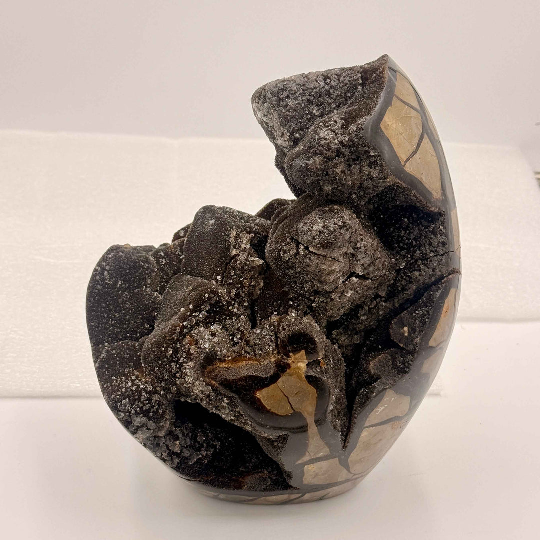 Septarian Nodule – Stone of Mastery | 12.5 lb Display Piece