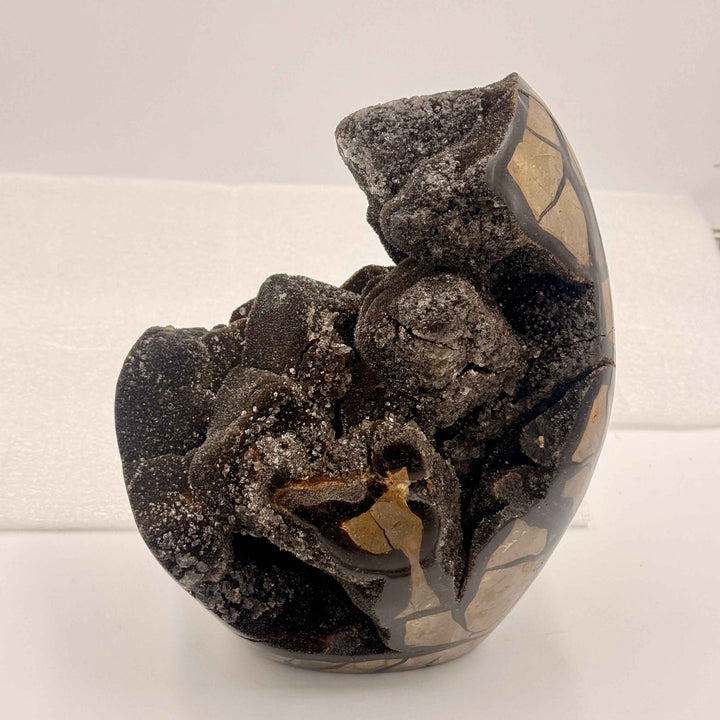 Septarian Nodule – Stone of Mastery | 12.5 lb Display Piece